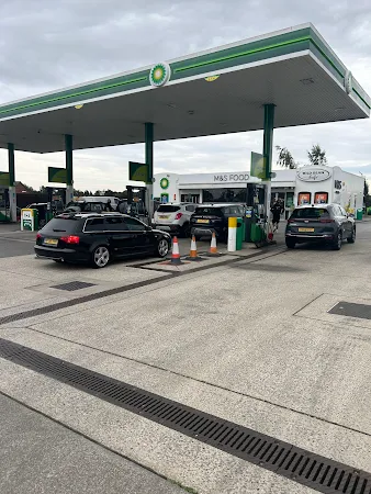 bp