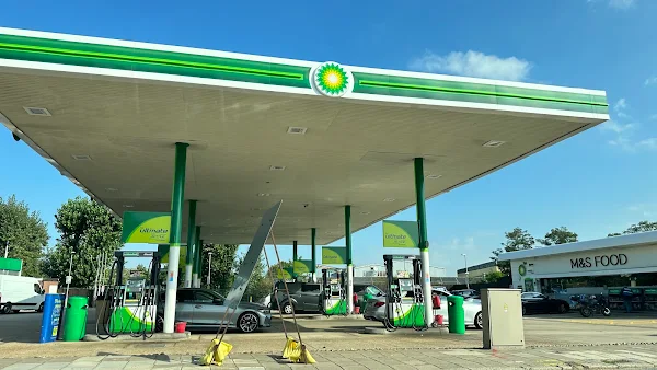 bp