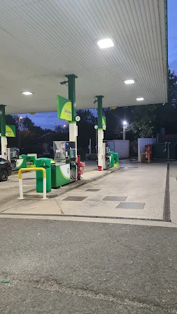 bp