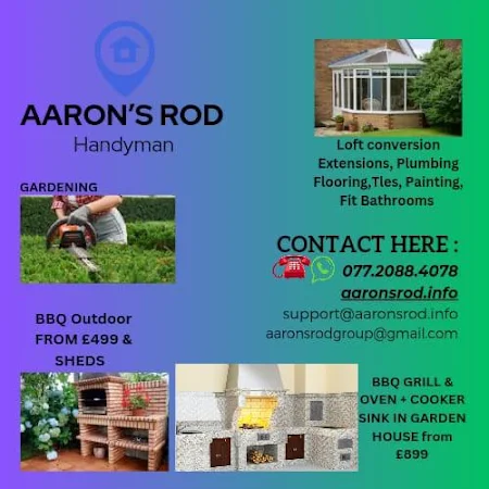 AARON'S ROD LTD